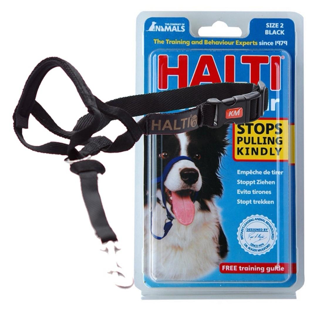 Halti Leash gentle leader Pet Supplies Homes Other Pet Accessories on Carousell