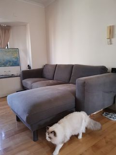 （分類：）位於 。 由 ivac1 提交（商品編號 1117084985，圖片 1）。簡介： 。