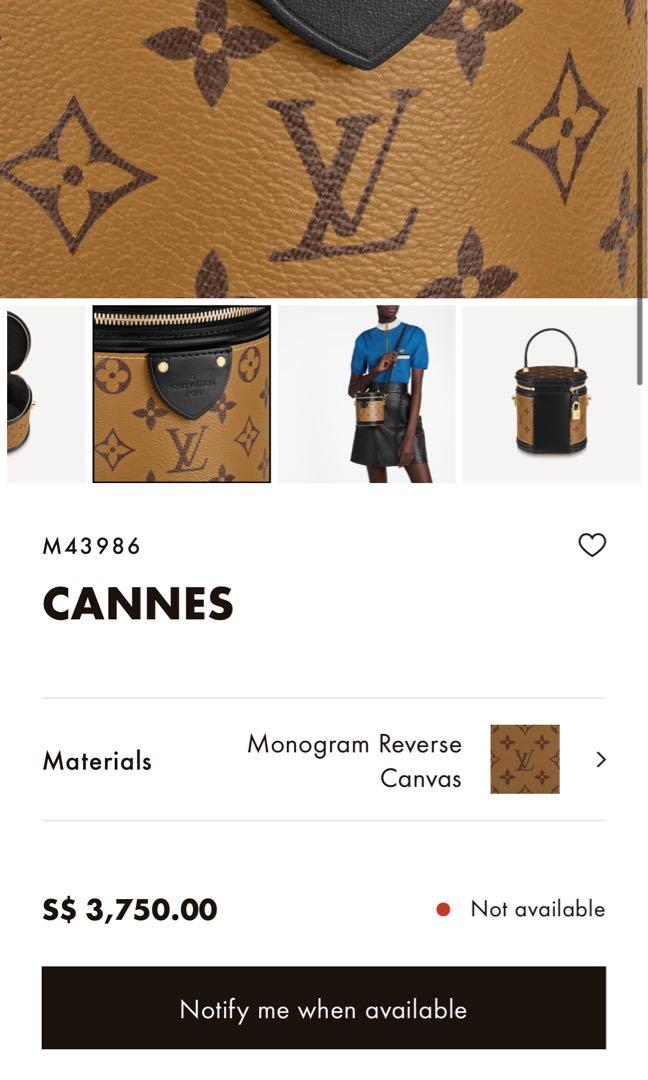Rank A ｜ LV Monogram Cannes Vanity Bag 2WAY Handbag｜F23103106