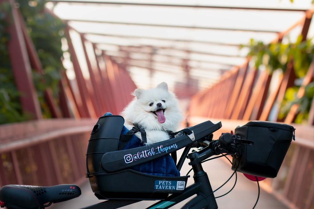 Bicycle pet seat online