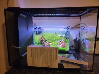 （分類：）位於 。 由 pierre3600 提交（商品編號 1120627860，圖片 1）。簡介： 。