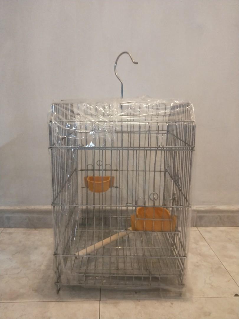 parrot pinjra online