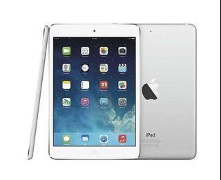 iPad mini2