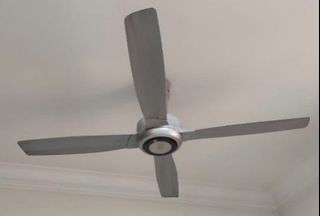 (Category: ) located in . Submitted by ady5403 (Listing ID 1120741093, Image 1). Description: .