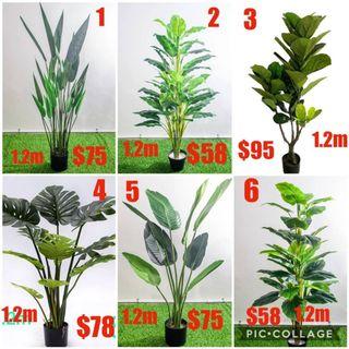 Best sell artificial plant with pot | $58 to $95 |$25 | $95 to $158 | Qxpress $10