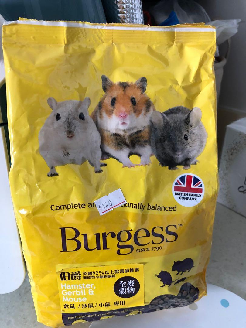 Burgess dwarf hamster online food
