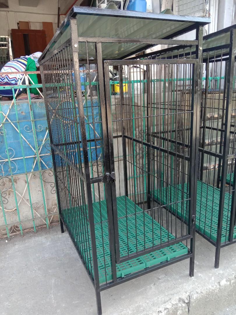 Dog Cage ‼️ 2x3x4.6ft with roof and matting, Pet Supplies, Homes