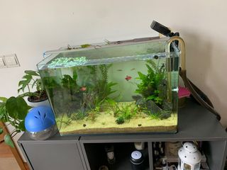 (Category: ) located in . Submitted by abbismith1209 (Listing ID 1120412847, Image 1). Description: .