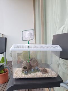 (Category: ) located in . Submitted by nutthi (Listing ID 1120955333, Image 1). Description: .