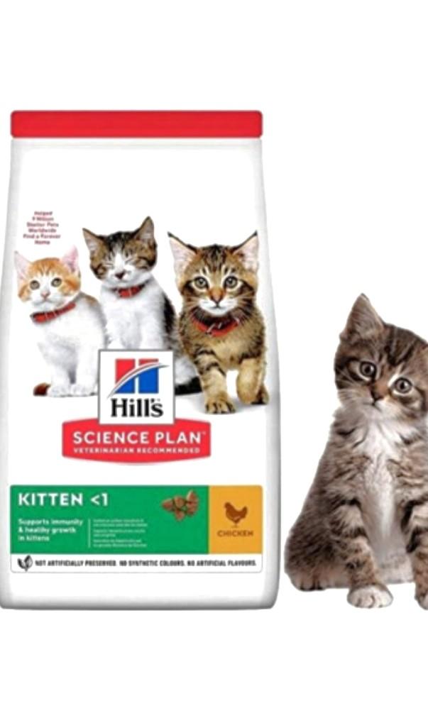 Hills science plan sales kitten
