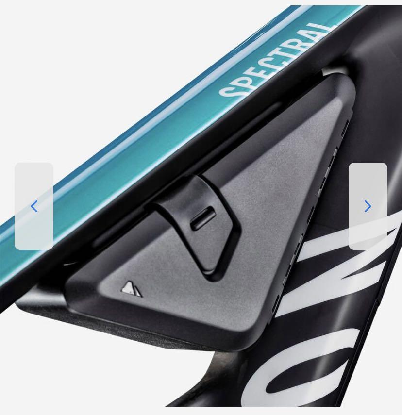 Canyon spectral store frame case