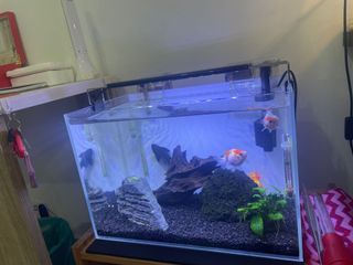 (Category: ) located in . Submitted by lincoln421 (Listing ID 1121124015, Image 1). Description: .