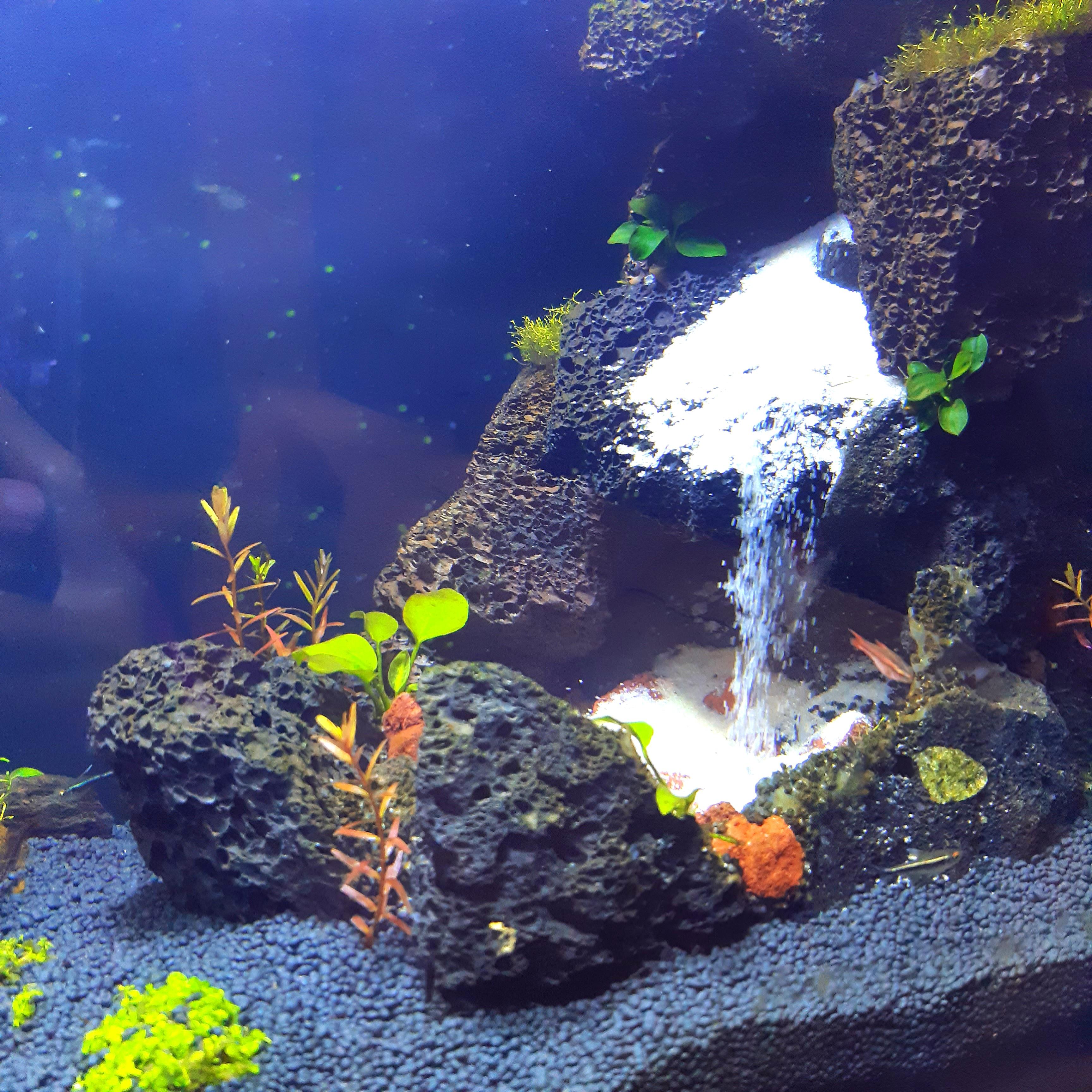 DIY Waterfall Aquascape Aquarium / Aqua Design / Aquarium / Waterfall