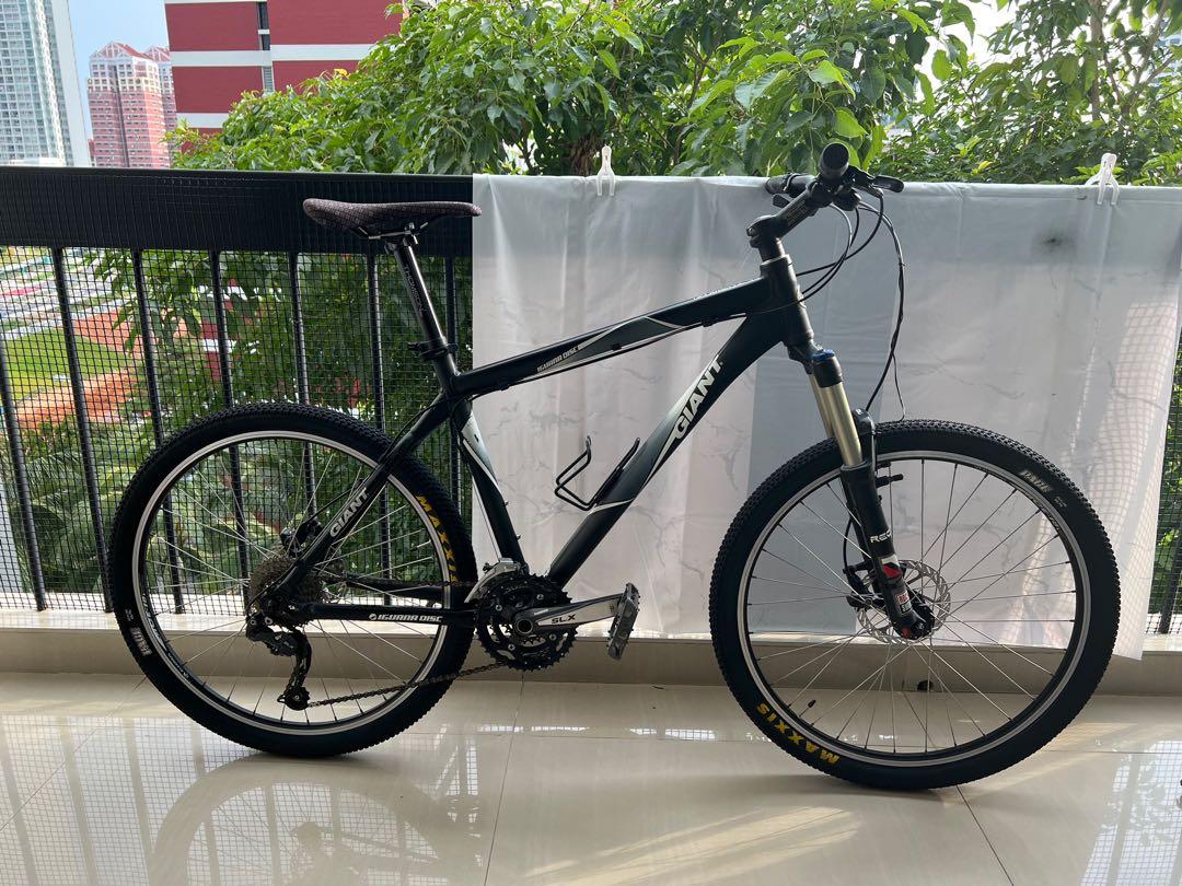 Giant Iguana Disc 19 frame size