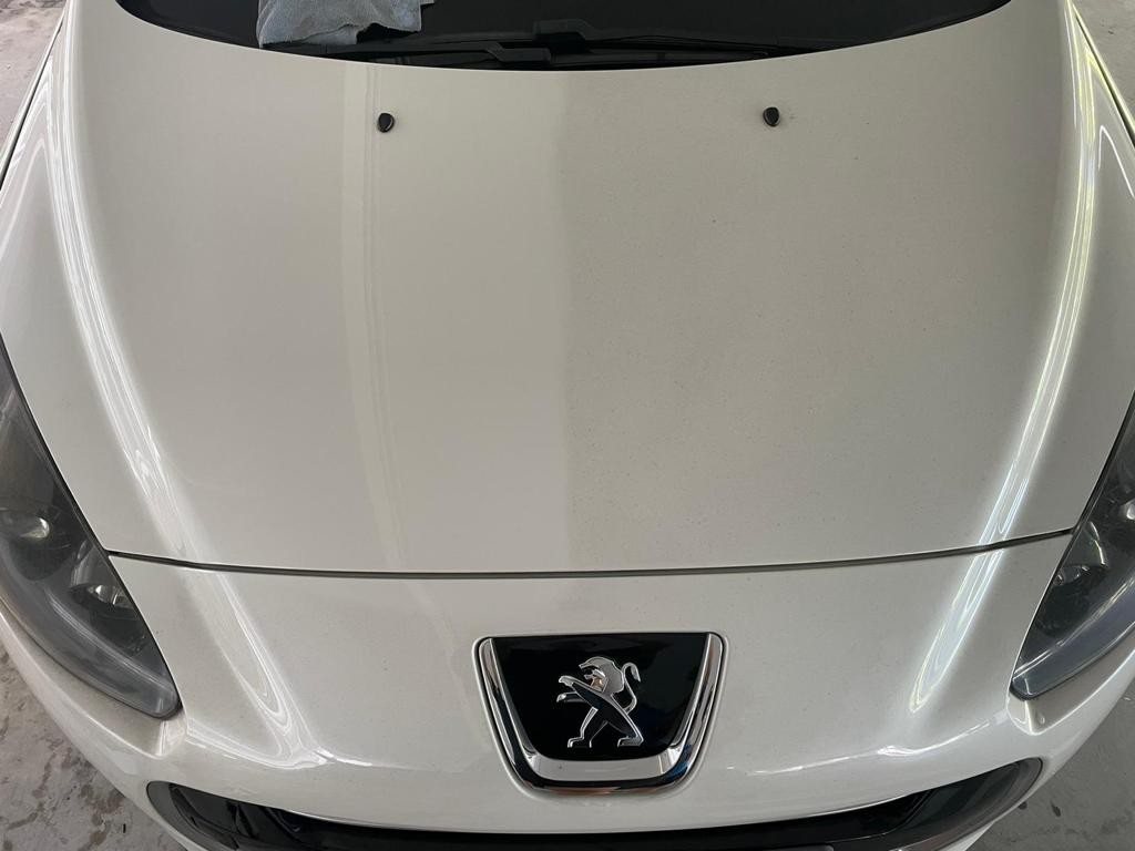 Ceramic Cockroach Polishing/Ceramic Coating /Wash and Wax /Sealant /Cockroach /Full ...