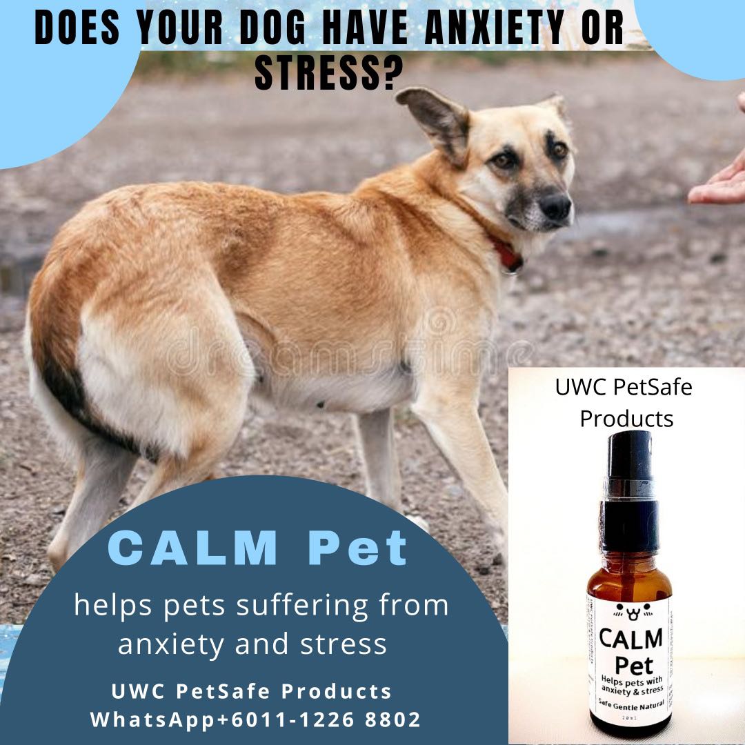 New! CALM Pet for pets with anxiety and stress. Quick and effective