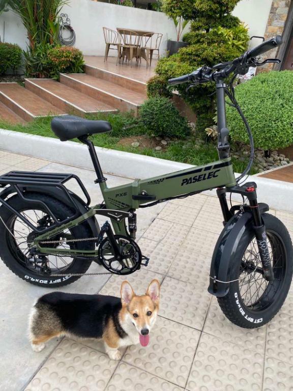 Paselec px6 electric folding discount bike
