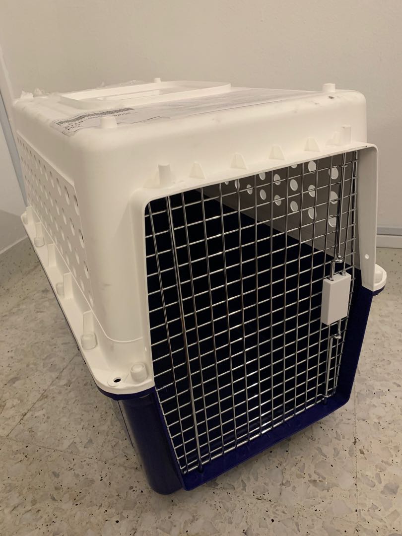 PP40 IATA approved dog crate cage, Pet Supplies, Homes & Other Pet