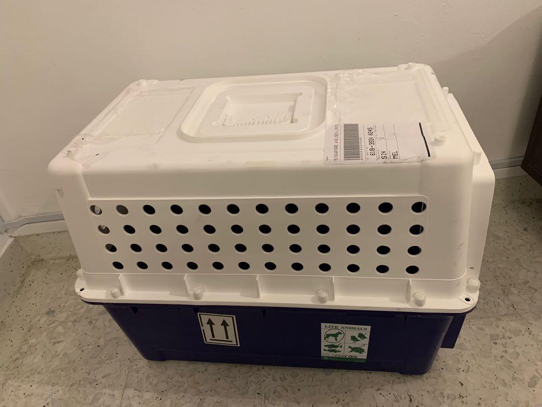 PP40 IATA approved dog crate cage, Pet Supplies, Homes & Other Pet