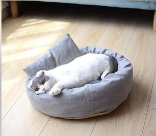 （分類：）位於 。 由 petpet.com 提交（商品編號 1121316611，圖片 1）。簡介： 。