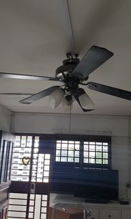 (Category: ) located in . Submitted by virtue (Listing ID 1121179702, Image 1). Description: .
