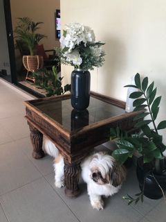 (Category: ) located in . Submitted by barunabhatia (Listing ID 1121284127, Image 1). Description: .