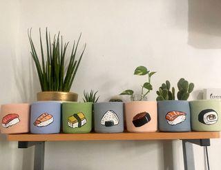 Decorative Clay Pots - Hand Painted