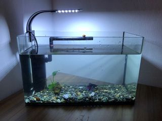 (Category: ) located in . Submitted by chopraa (Listing ID 1121299010, Image 1). Description: .