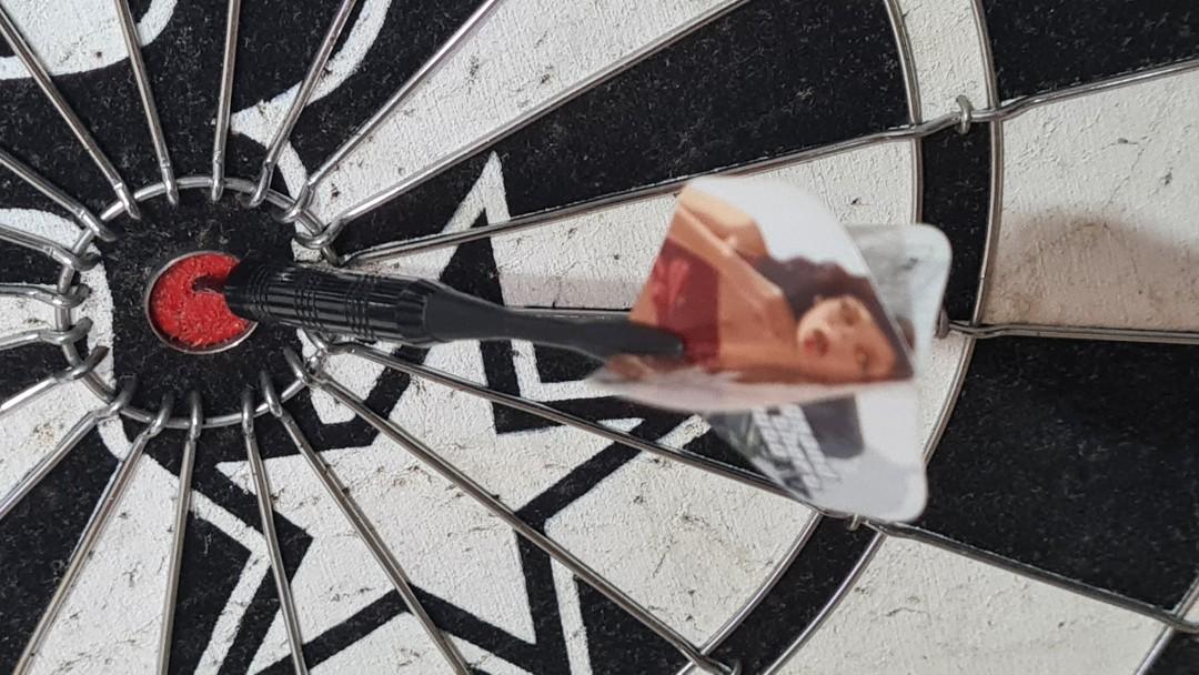 GTA IV DARTS limited edition Grand Theft Auto IV, Sports Equipment