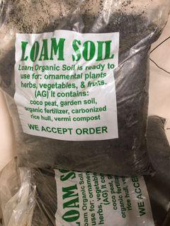 Loam soil
