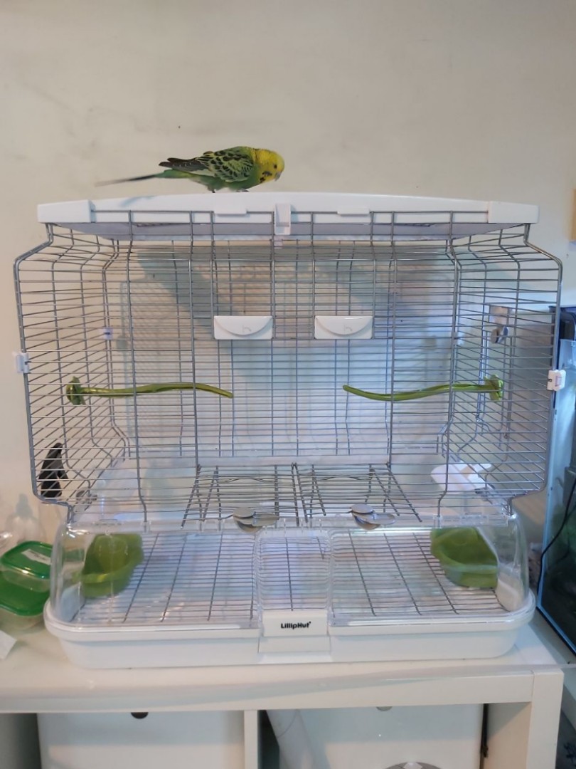Vision bird clearance cage m01