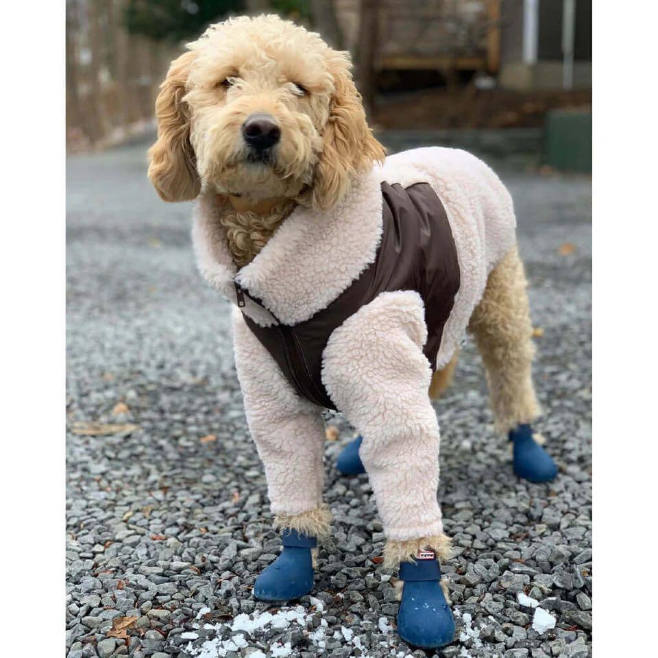 Wagwear WagWellies Dog Boots Navy