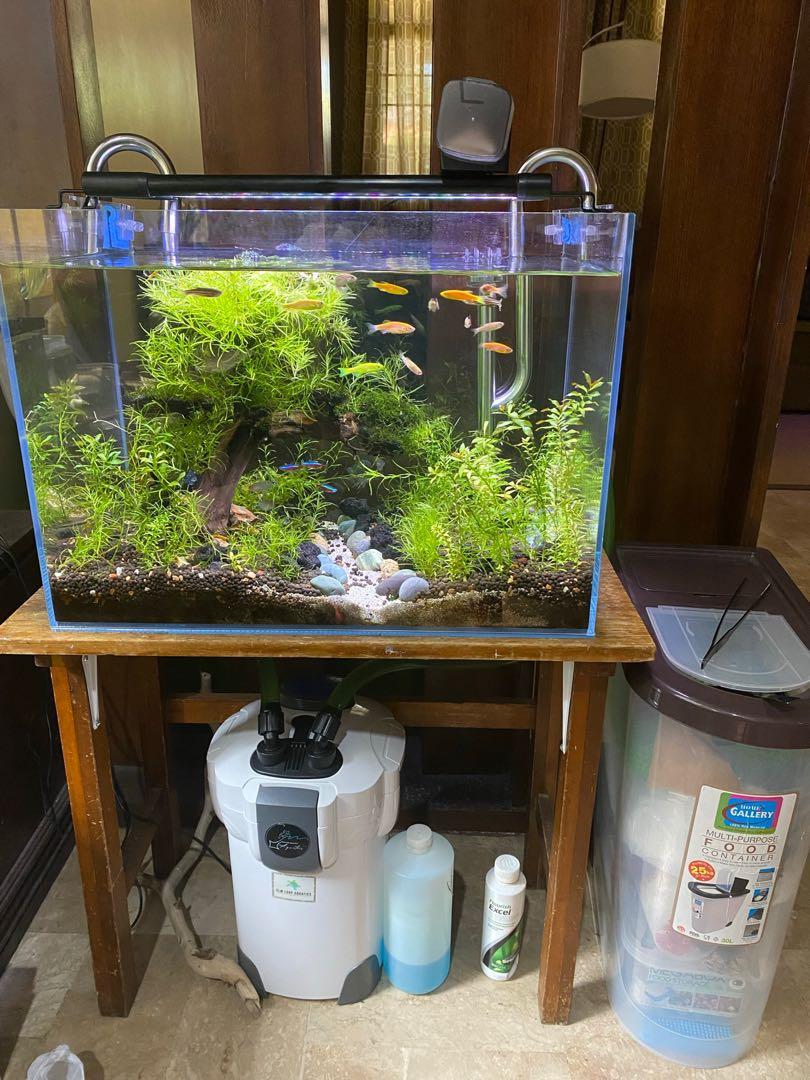 tack klauw Verhuizer 50cm low iron Aquarium - COMPLETE SET ONLY, Pet Supplies, Homes & Other Pet  Accessories on Carousell