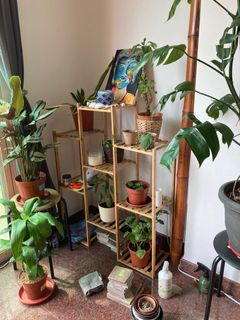 (Category: ) located in . Submitted by shwetha93 (Listing ID 1121389496, Image 1). Description: .