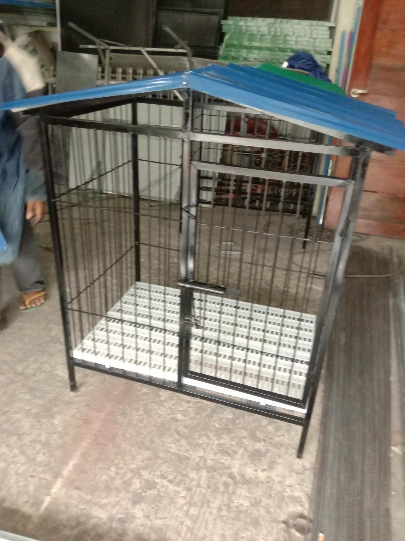 Dog Cage 2x3x3.6ft with roof and matting Pet Supplies Homes