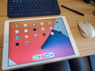 iPad pro 12.9 wifi + cellular