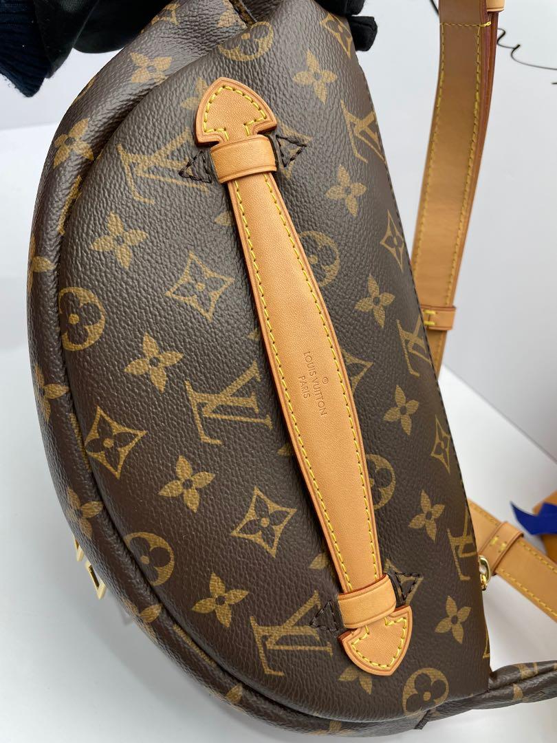 MI3198 USED Louis Vuitton Bumbag Brown Monogram Canvas Messenger Bag F -  MyDesignerly