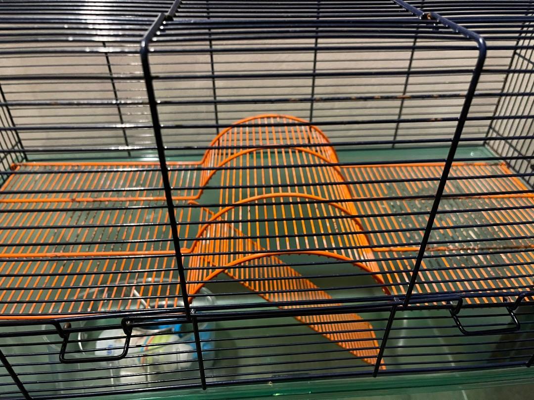 petface petface habitat gerbil cage