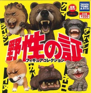 （分類：）位於 。 由 pigpigteddy 提交（商品編號 1121573522，圖片 1）。簡介： 。