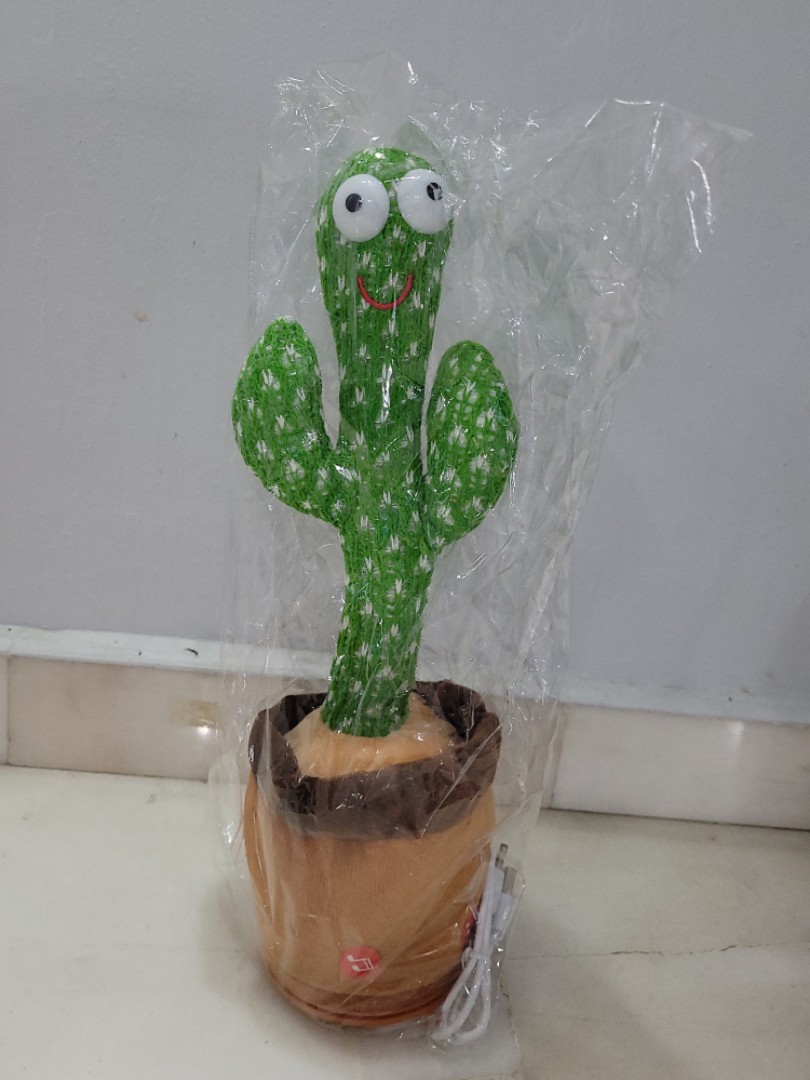 hdy dancing cactus