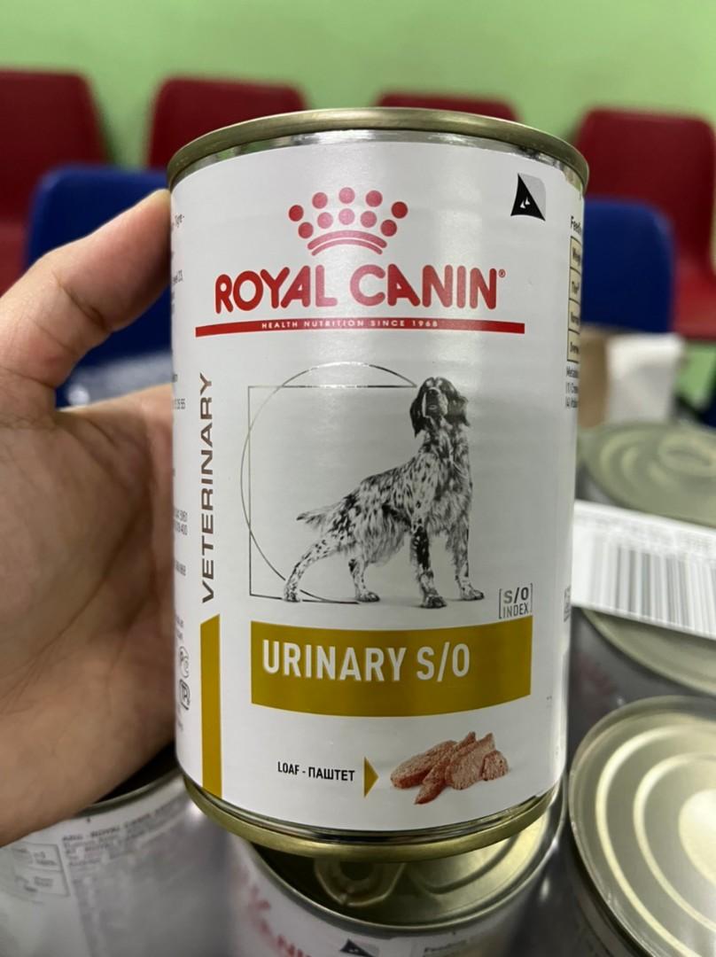 Urinary S/O Canned Wet Food, Pet Supplies, Pet Food on Carousell