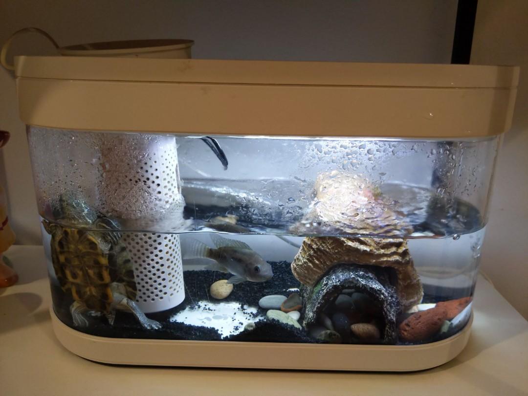 Xiaomi Geometry Fish Tank Aquaponics Ecosystem Small Water Garden Ecological Fish Tank Aquarium Pet Supplies Homes Other Pet Accessories On Carousell