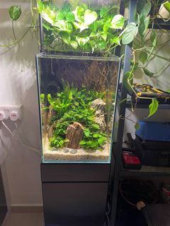 (Category: ) located in . Submitted by gideon1982 (Listing ID 1121726053, Image 1). Description: .