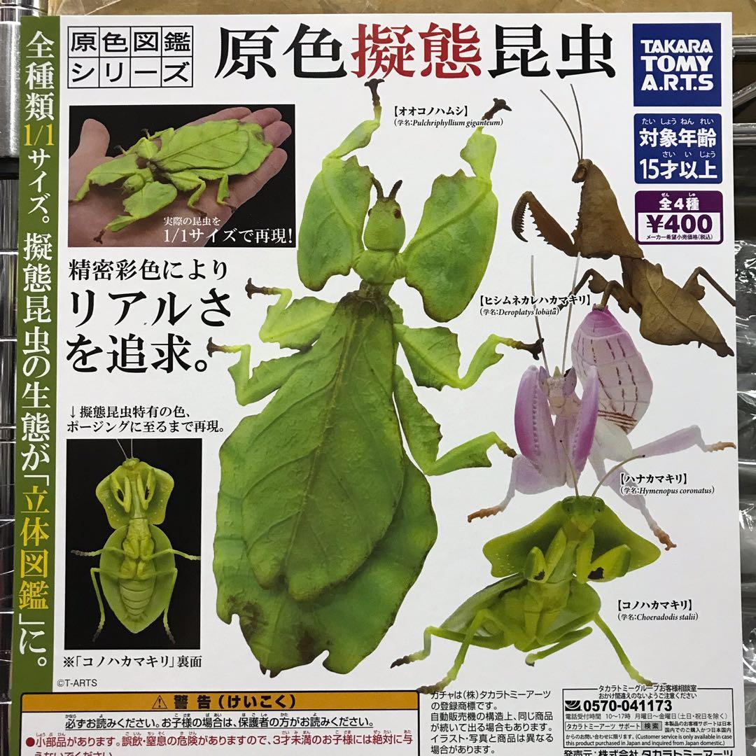 最後一套全新正版日版原色昆蟲圖鑑擬態昆蟲全4種扭蛋現貨昆虫 興趣及遊戲 玩具 遊戲類 Carousell
