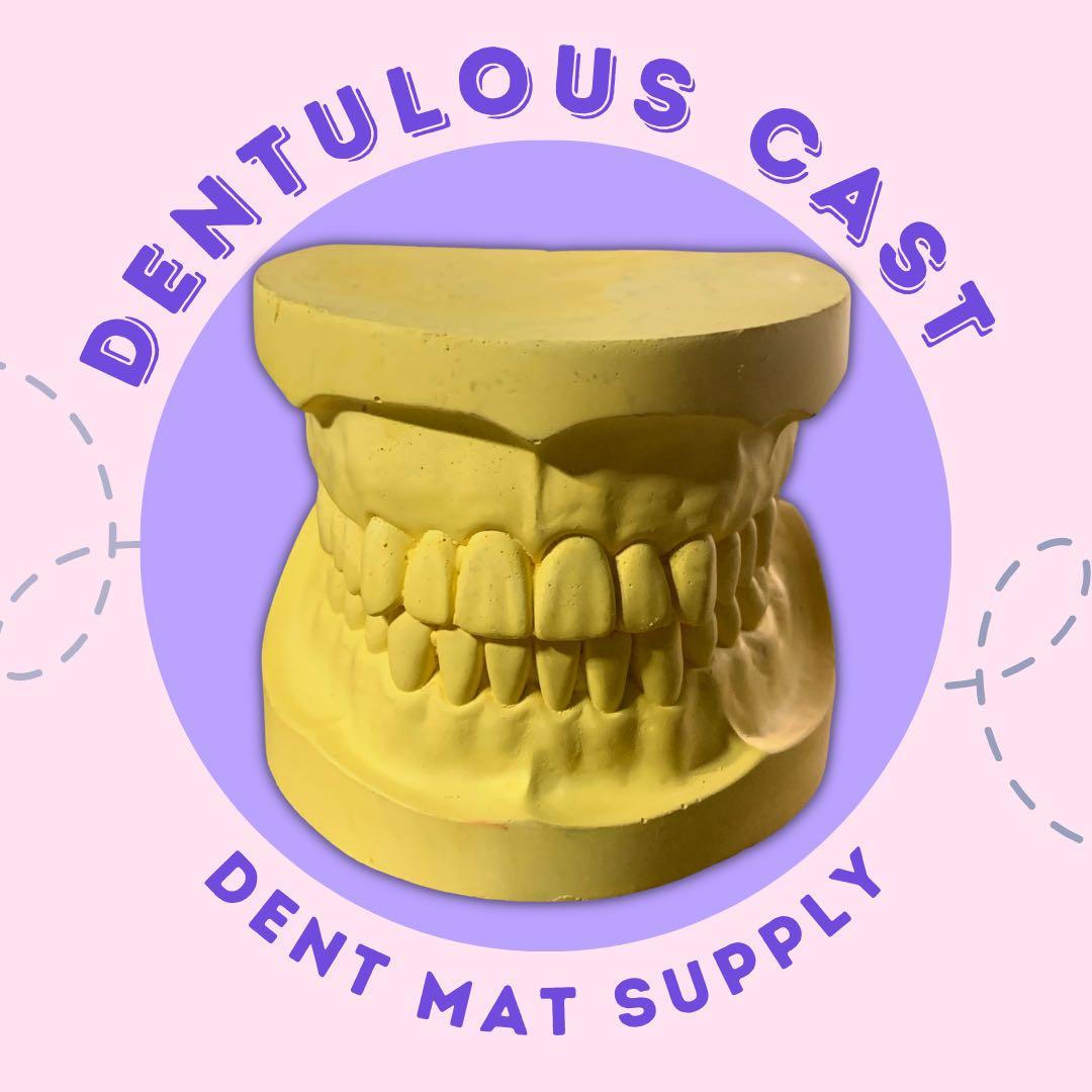 Dentulous Cast/ Dental Model Cast, Health & Nutrition, Medical Supplies & Tools on Carousell