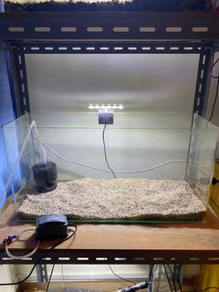 (Category: ) located in . Submitted by ohsupthere (Listing ID 1121714560, Image 1). Description: .