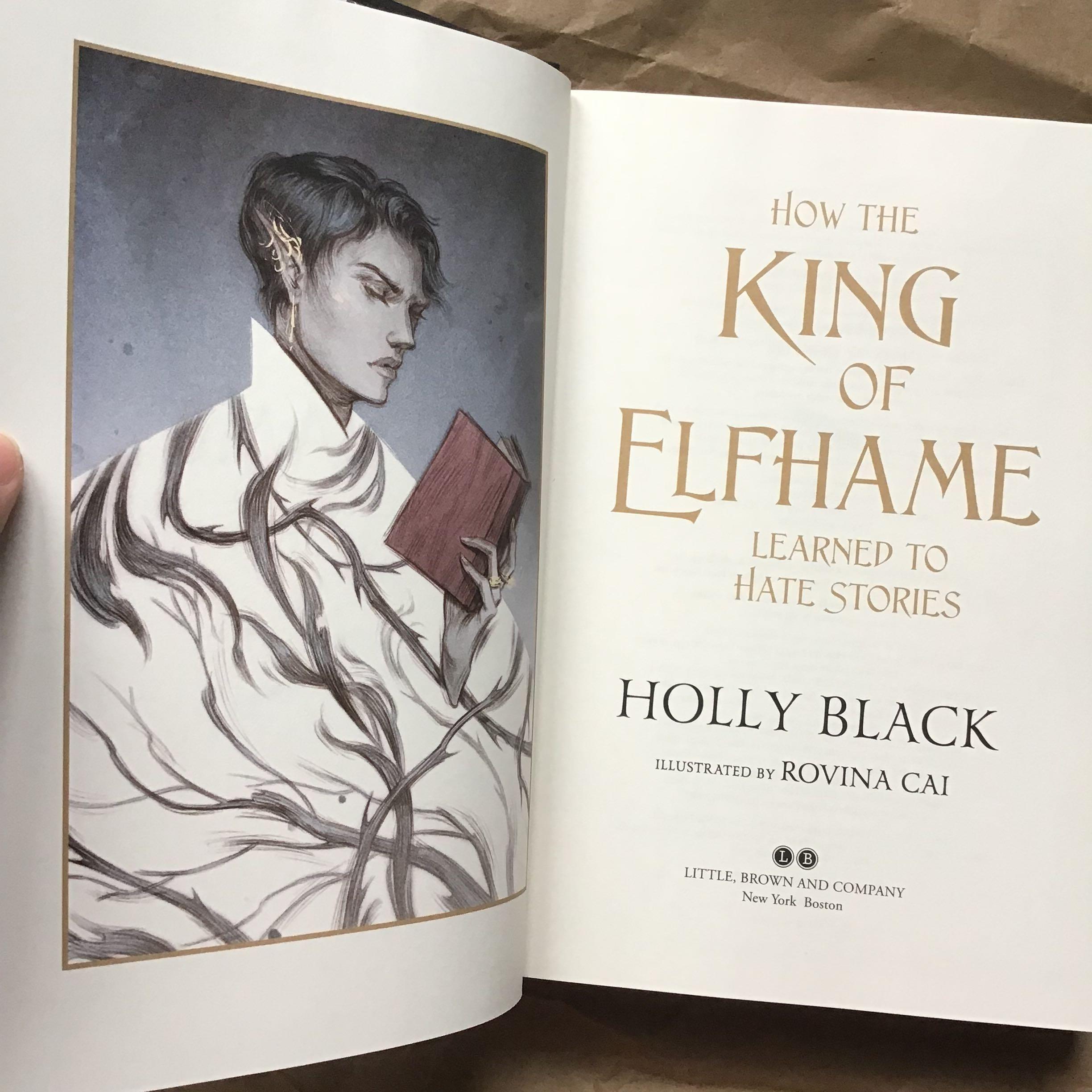 HB How the King of Elfhame Learned to Hate Stories by Holly Black, Hobbies & Toys, Books