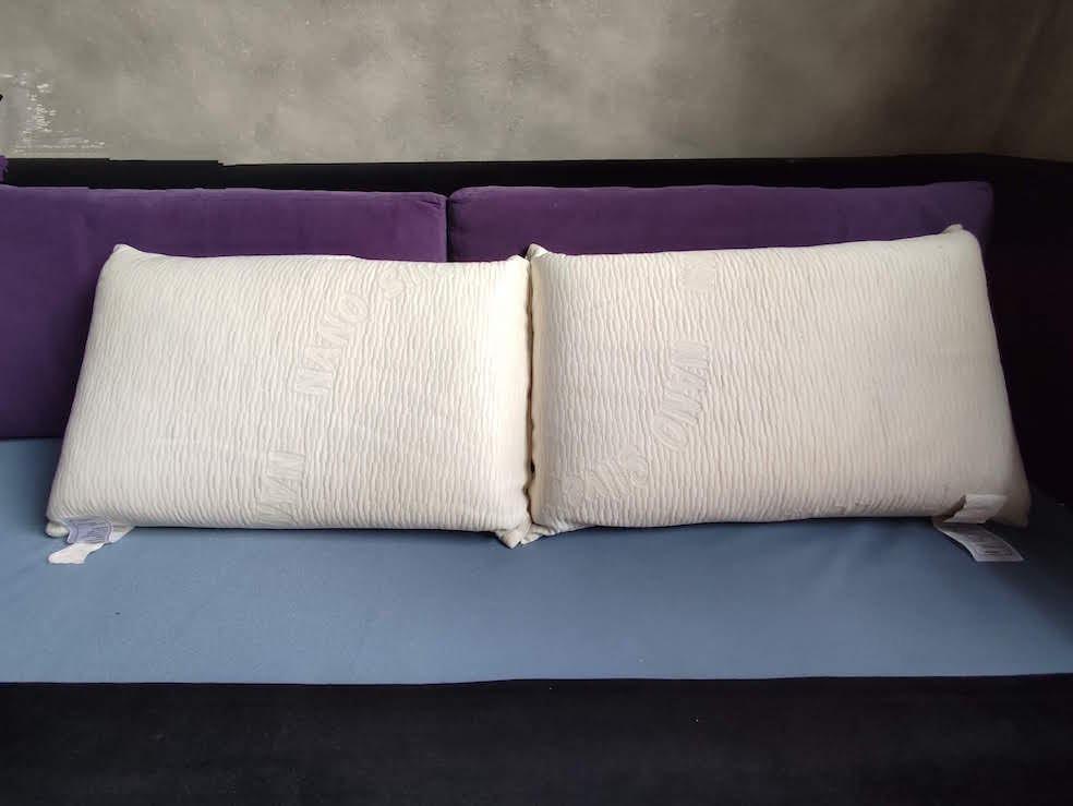 Jean Perry Bamboo Charcoal Memory Pillow 1 pair other pillows