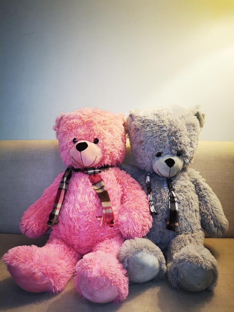 Mr and mrs teddy bears 2025