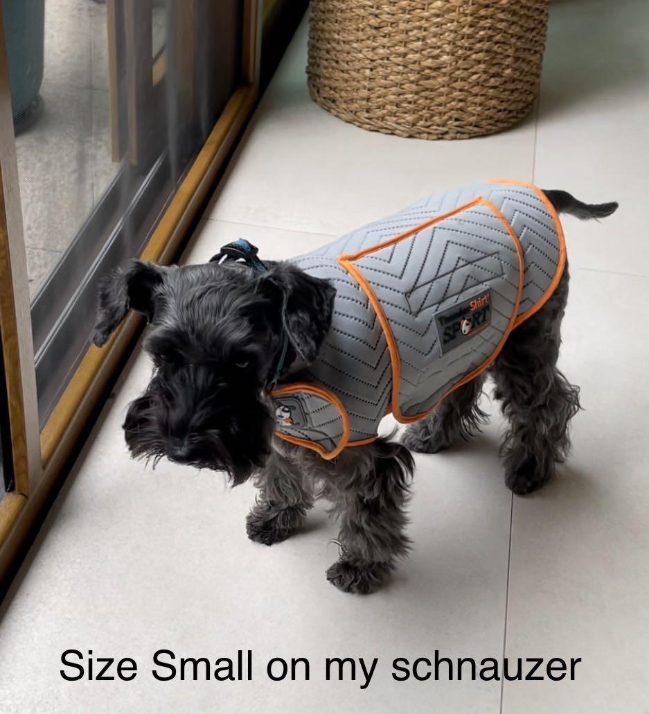 Thundershirt and Calming Chews for Dogs bundle Pet Supplies